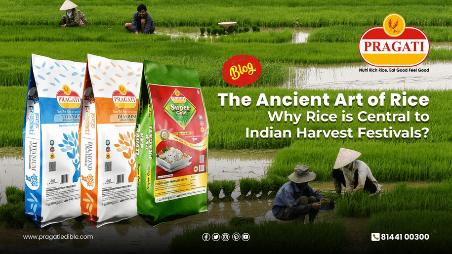 The Ancient Art of Rice: Why Rice is Central to Indian Harvest Festivals