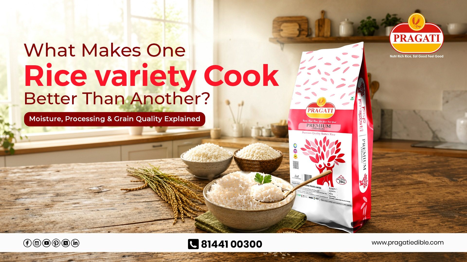What Makes One Rice Cook Better Than Another? The Science Behind Perfect Rice | Pragati Rice